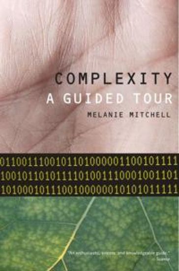 Complexity