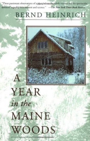 A Year In The Maine Woods