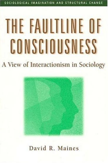 The Faultline of Consciousness