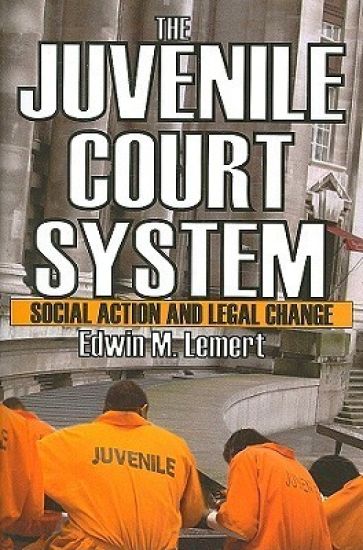 The Juvenile Court System