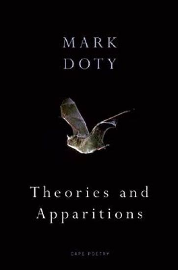 Theories and Apparitions
