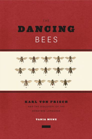 The Dancing Bees