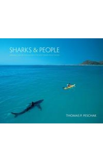 Sharks and People