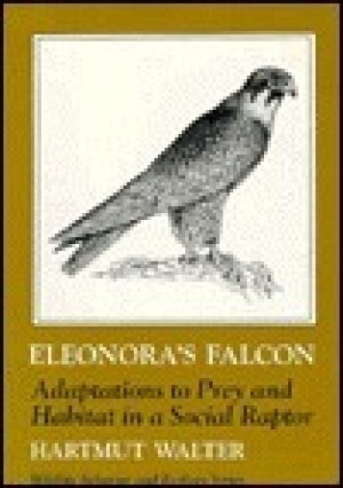 Manual of Neotropical Birds, Volume 1