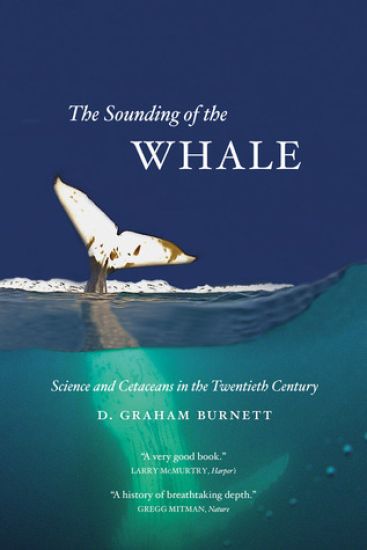 The Sounding of the Whale