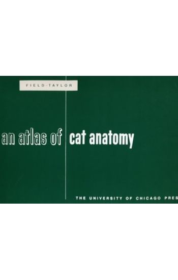An Atlas of Cat Anatomy