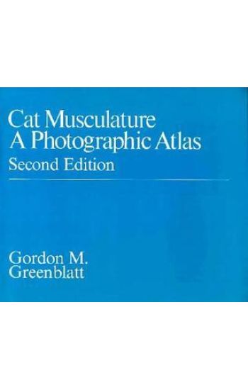 Cat Musculature