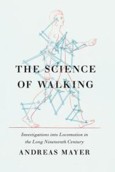 The Science of Walking
