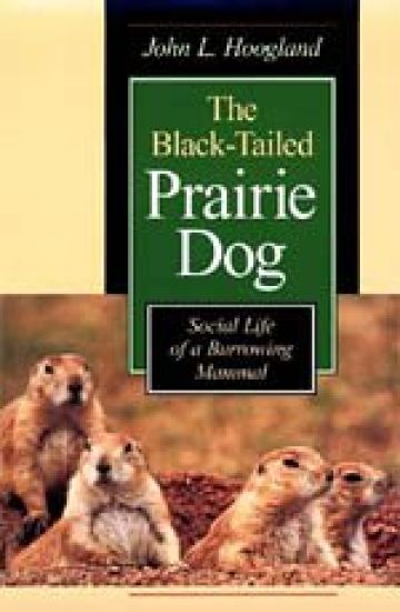 The Black-Tailed Prairie Dog