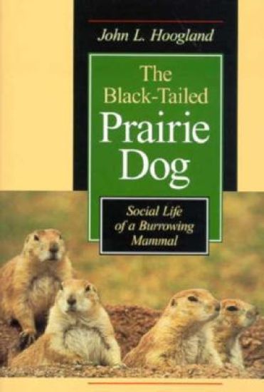 The Black-Tailed Prairie Dog