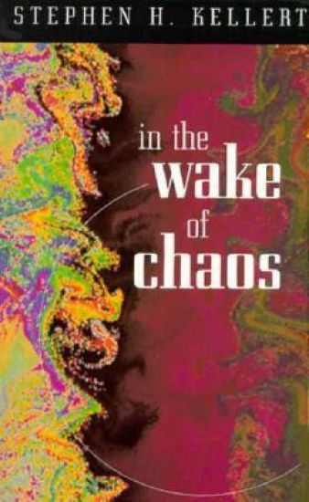 In the Wake of Chaos