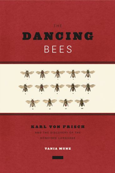 The Dancing Bees