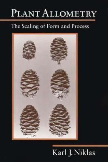 Plant Allometry