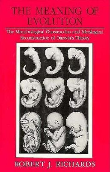 The Meaning of Evolution