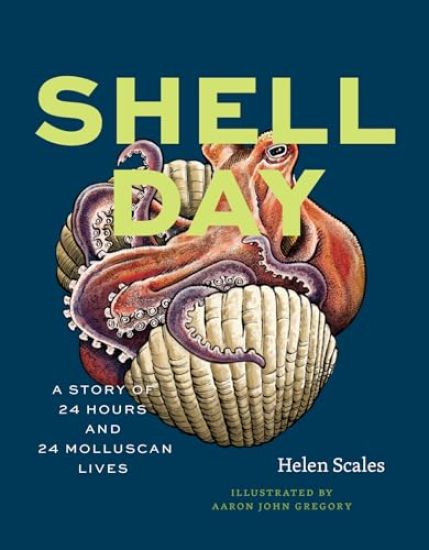 Shell Day