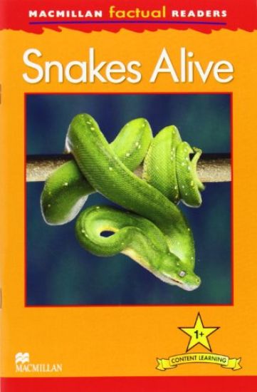 Macmillan Factual Readers: Snakes Alive