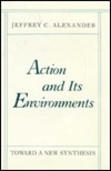 Action and Its Environments