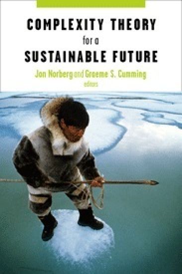 Complexity Theory for a Sustainable Future