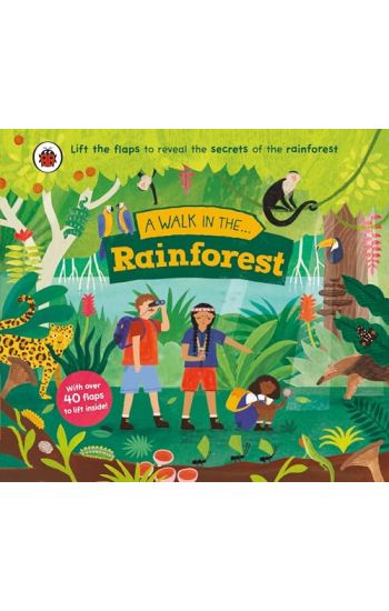 A Walk in the Rainforest