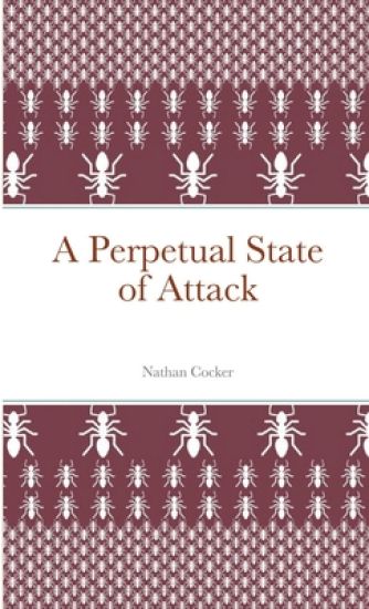 A Perpetual State of Attack