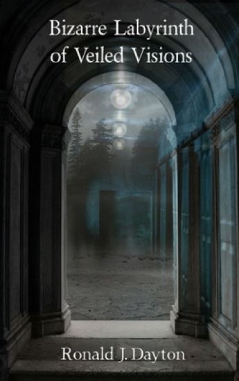 Bizarre Labyrinth of Veiled Visions