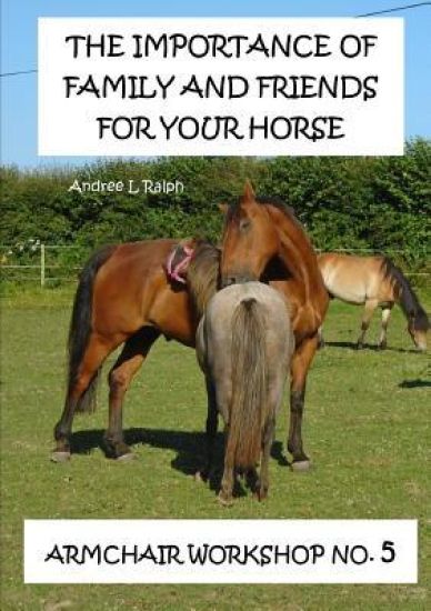 The Importance Of Family And Friends For Your Horse - Armchair Workshop No,5