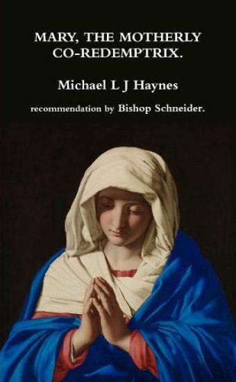 Mary, the motherly Co-Redemptrix.
