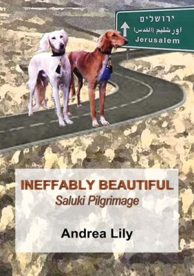 Ineffably Beautiful: Saluki Pilgrimage