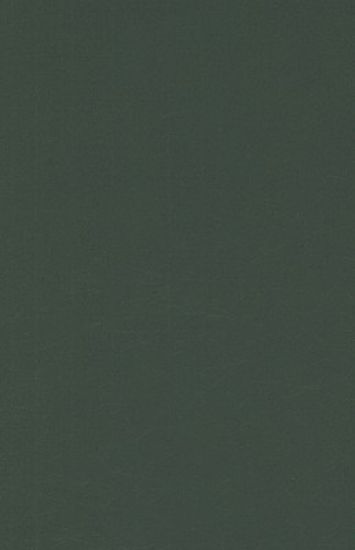 Talking with Television