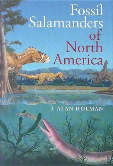 Fossil Salamanders of North America