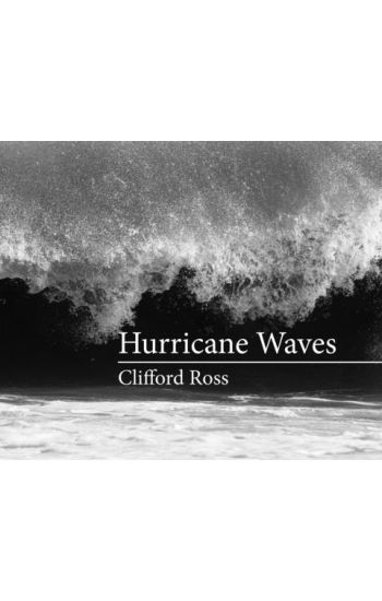 Hurricane Waves