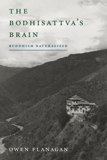 The Bodhisattva's Brain