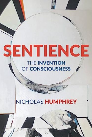 Sentience: The Invention of Consciousness