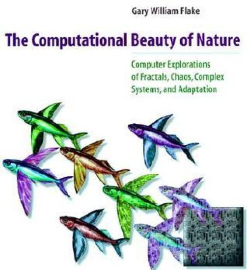 The Computational Beauty of Nature