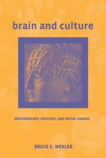 Brain and Culture