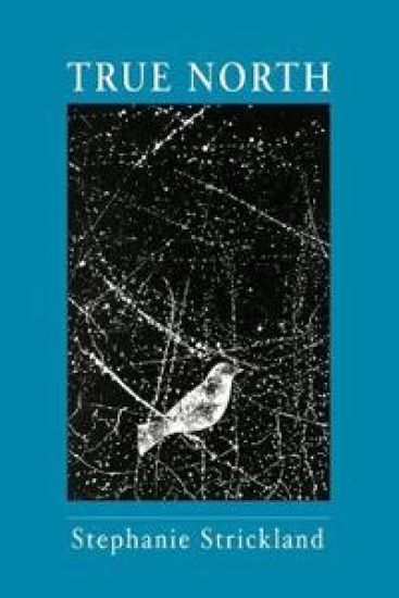 True North