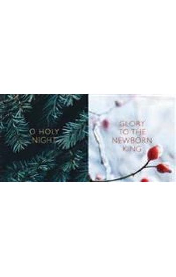 SPCK Charity Christmas Cards, Pack of 10, 2 Designs