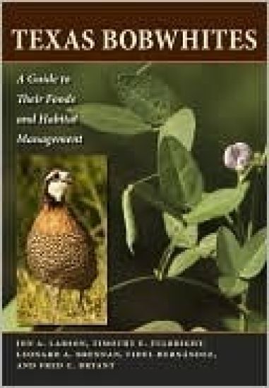 Texas Bobwhites