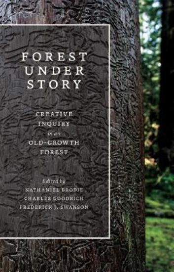 Forest Under Story