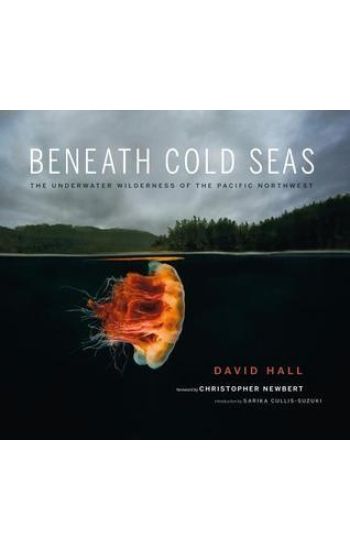 Beneath Cold Seas