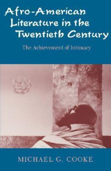 Afro-American Literature in the Twentieth Century