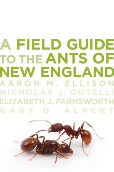 A Field Guide to the Ants of New England