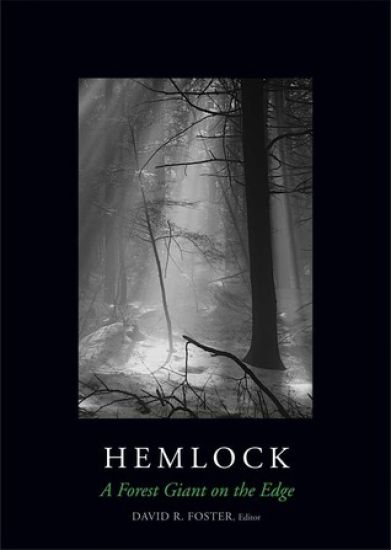Hemlock
