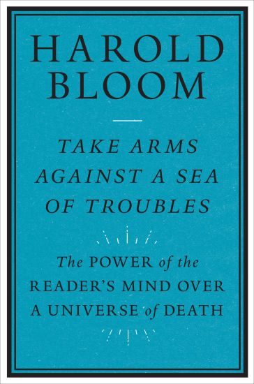 Take Arms Against a Sea of Troubles