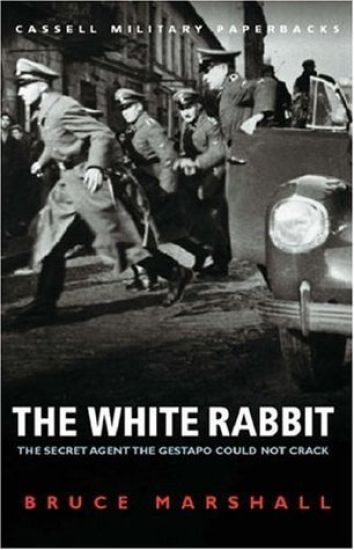 White Rabbit