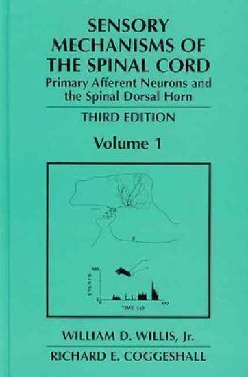 Sensory Mechanisms of the Spinal Cord