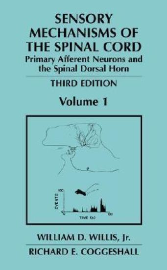 Sensory Mechanisms of the Spinal Cord
