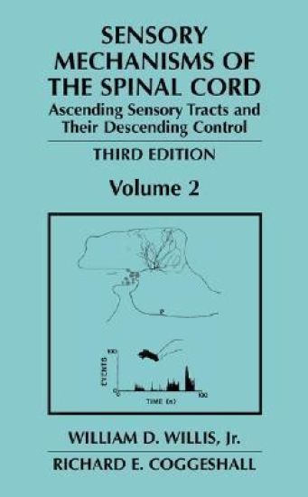 Sensory Mechanisms of the Spinal Cord