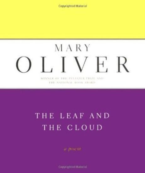 The Leaf And The Cloud