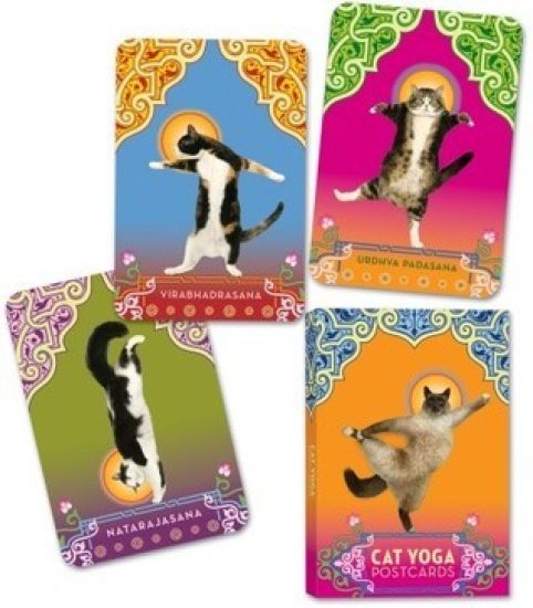 Cat Yoga Postcards